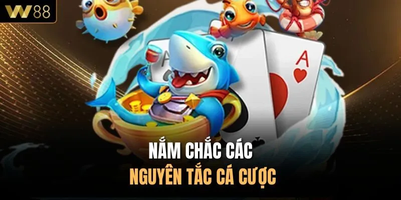 Nắm chắc các nguyên tắc cá cược
